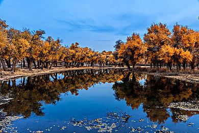 玩家太喜欢 《守望先锋2》6v6模式测试再次延长